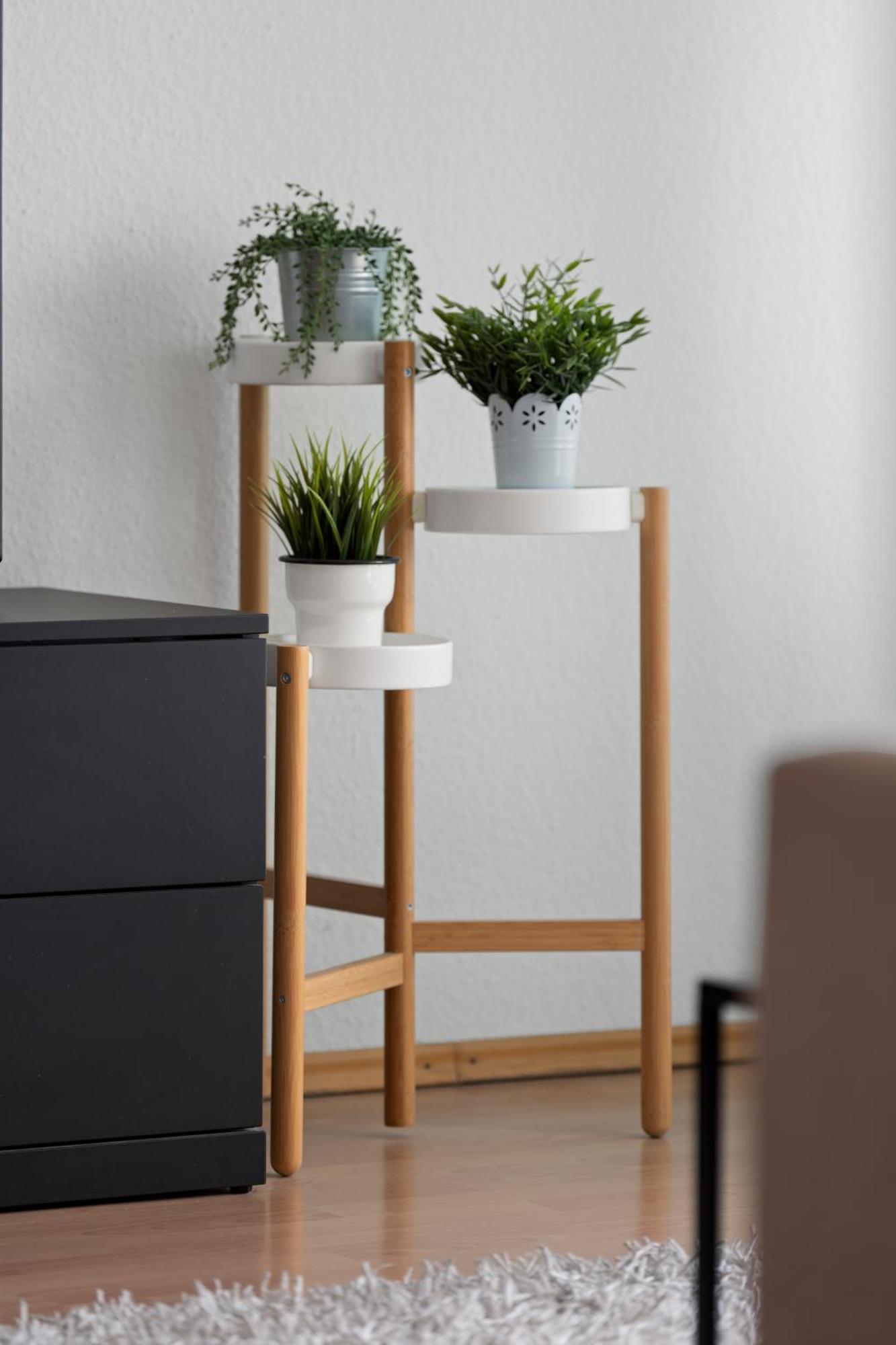 Anytime - Ferienwohnung Rita In FDH Exteriér fotografie